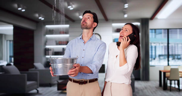 Best Basement water damage restoration  in Mokuleia, HI