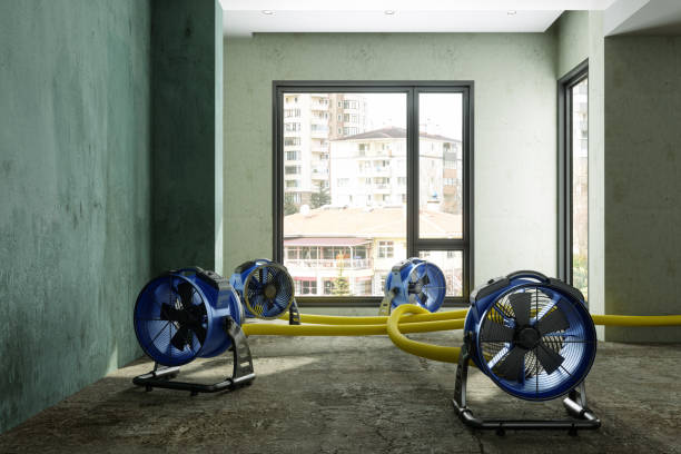 Best Water damage restoration near me  in Mokuleia, HI